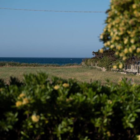 Villa Marisole Torre Canne Exteriér fotografie