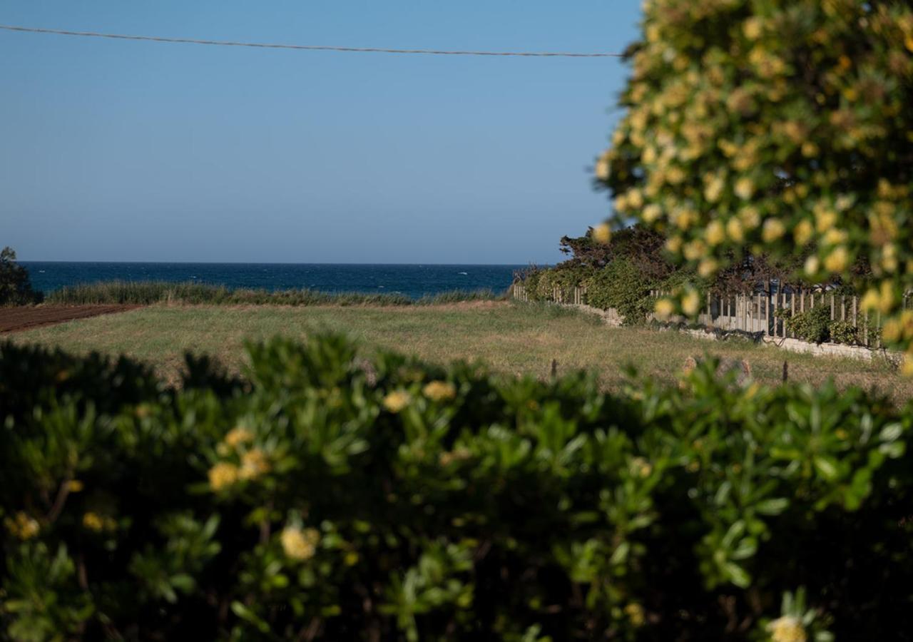 Villa Marisole Torre Canne Exteriér fotografie
